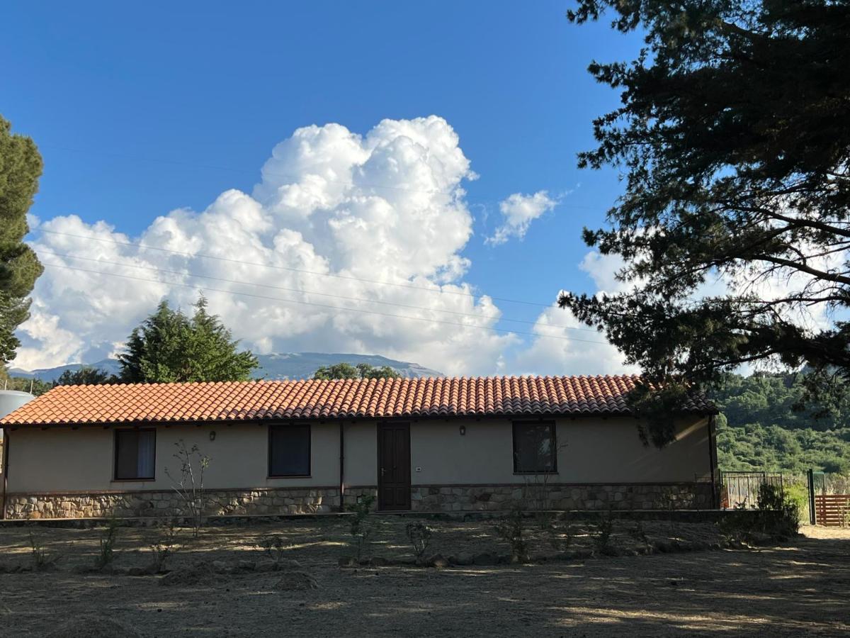 Bosco Pianetti * Santuario di Gibilmanna