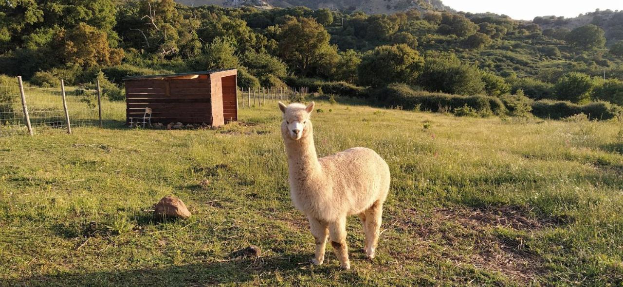 Bosco Pianetti Séjour à la ferme