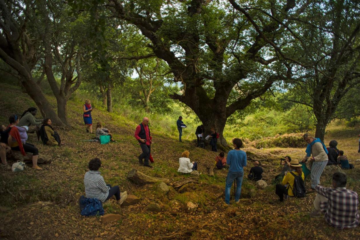 Bosco Pianetti Santuario di Gibilmanna