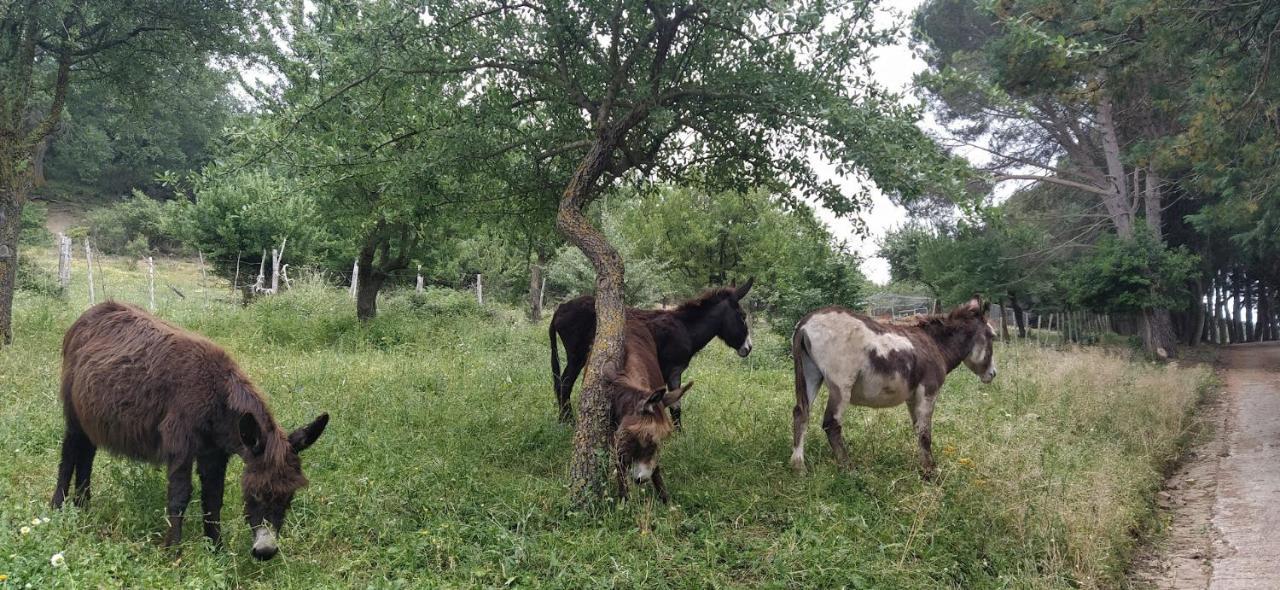 Séjour à la ferme Bosco Pianetti