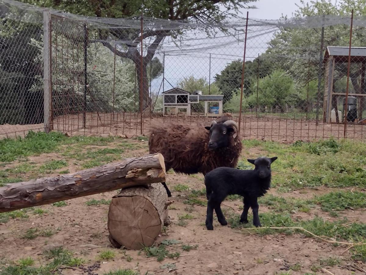 Bosco Pianetti Séjour à la ferme Santuario di Gibilmanna